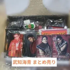 THE RAMPAGE 武知海青 まとめ売り