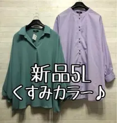 新品☆5L♪きれいめコーデやお出かけに♪長袖トップス2枚セット☆f538