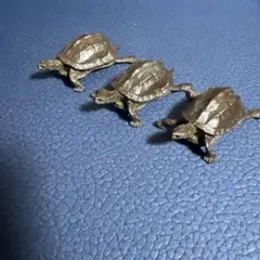 リアルな亀の置物中型カメ 茶色と黒の斑点模様 - メルカリ