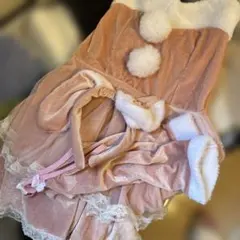 バニー クリスマス ピンク サンタ コスプレ