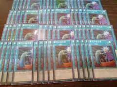 norinorichachako様 リクエスト 3点 まとめ商品