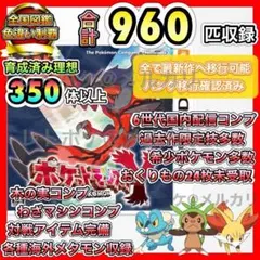 専用 ポケットモンスター Y ブラック2 エメラルド