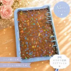 新品未使用✨️　星柄ホログラム クリアバインダー マルチケース A5