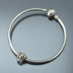 PANDORA（パンドラ）アクセサリー S925 ALE刻印／SV925 - メルカリ