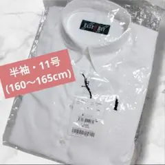 Item thumbnail for item 72032f35-92de-44bc-8f2c-e7d497cc6744