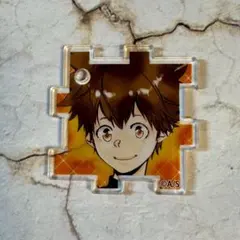 天野明展　REBORN　アクリルパズルコレクション　沢田綱吉　　3