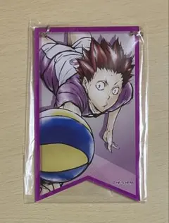 ハイキュー!!／トレーディングガーランド（天童覚）