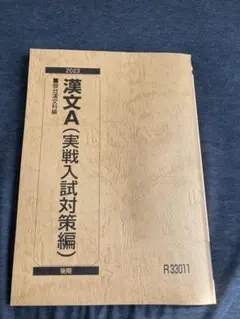 駿台予備学校「漢文A(実戦入試対策編)」(後期)
