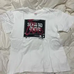 【SEKAI NO OWARI】The Colors Tシャツ