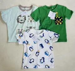 半袖Tシャツ 3枚セット