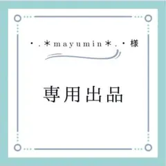 ・.＊mayumin＊.・ 様 専用