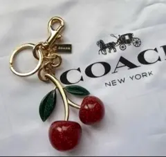 2025年最新】コーチ キーホルダー チェリーの人気アイテム