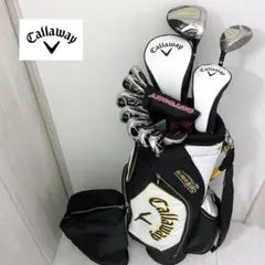 未使用に近い　大人気　キャロウェイウォーバード　ゴルフクラブセット　フレックスR