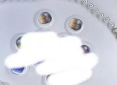 葵様　専用ページ