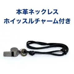 Item thumbnail for item 1a0178d3-e970-4956-b461-21a7be0b41fe