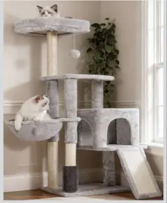 Item thumbnail for item 0fee71c4-2541-4a34-8e39-744c1d2ad985