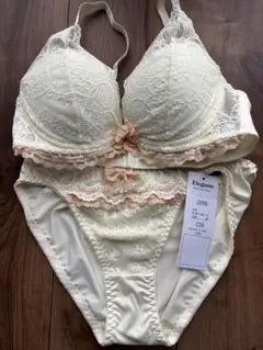 Elegante ブラジャーショーツセット C75ショーツL