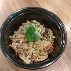 MYU様 リクエスト 2点 まとめ商品