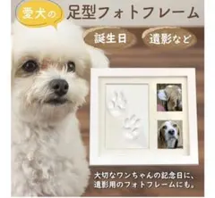 Item thumbnail for item c1c16538-f5c5-4056-9149-968b966e5518