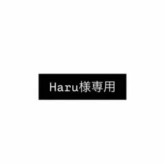 Haru様 リクエスト 2点 まとめ商品