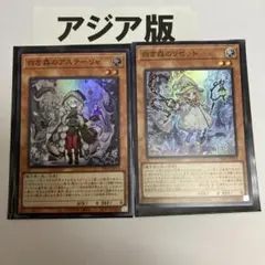 白き森のアステーリャ　白き森のリゼット　アジア版　スーパー