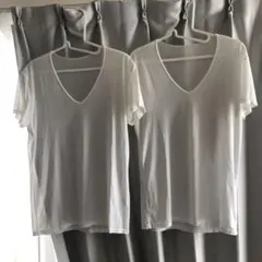 Item thumbnail for item a0e39485-9cbd-4835-8635-02dc5d1d6c4d