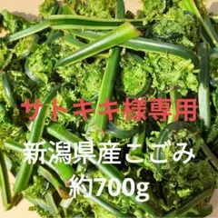 サトキキ様専用　新潟県産こごみ　約700g
