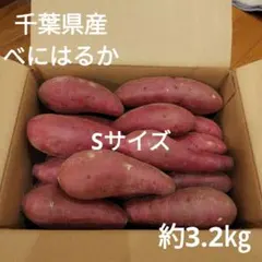 96 千葉県産　べにはるか　さつまいも　サツマイモ　Sサイズ　約3.2㎏