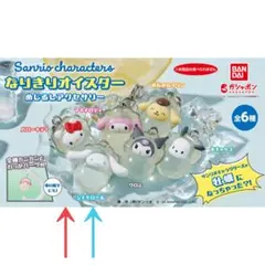 【新品、未使用】サンリオ めじるしアクセサリー なりきりオイスター 2個セット