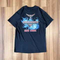 【超希少】vintage Harley-Davidson cafe サンダーT