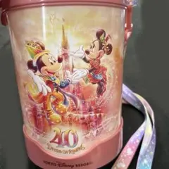 ディズニー　ポップコーンケース　40周年　　美品
