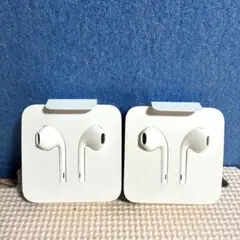 新品、未使用Apple純正ライトニング 有線イヤホン　2個同梱　#10