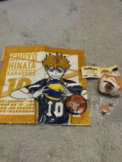 日向翔陽 グッズセット