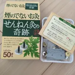 せんねん灸の奇跡 レギュラー 48点入のサムネイル