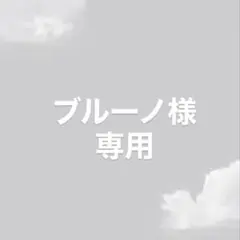 ブルーノ様 リクエスト 2点 まとめ商品