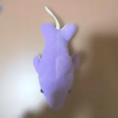 Item thumbnail for item 0fa50d70-e35b-4046-8de6-c400ec4cccda