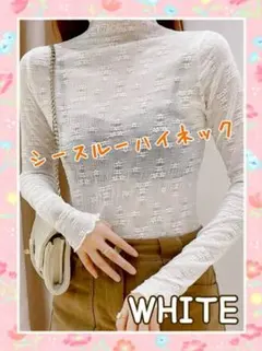 【ホワイト】シアーハイネック　シースルートップス　レースシャツ　フリーサイズ