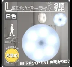 Item thumbnail for item b6e5e4fa-876c-4838-aaf7-61418eb7f0c4