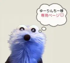 ※ゆーりんちー様専用※
