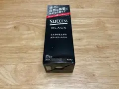 SUCCESS BLACK カラートリートメント 155g - メルカリ