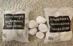 Item thumbnail for item 4e78526d-cc42-4b95-94a7-93a9b0097c73