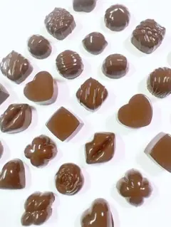 （249）デコパーツ☆13種チョコレート１個２０円