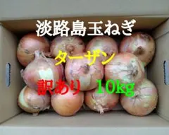 淡路島玉ねぎ訳あり10kg農家直送南あわじのサムネイル