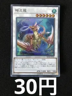 遊戯王 英語版 瑚之龍 コーラルドラゴン シークレット SE - メルカリ