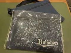 Item thumbnail for item 9d04f6fc-008e-45ae-a989-3713f9832960