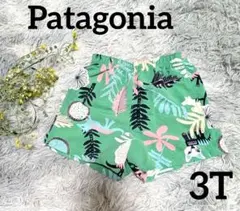 パタゴニア キッズ バギーズショーツ ハーフパンツ グリーン 3T 90〜100