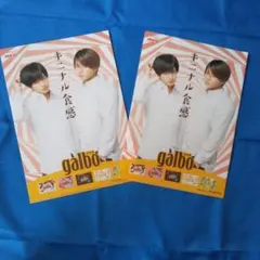 ガルボ ふまけん クリアファイル