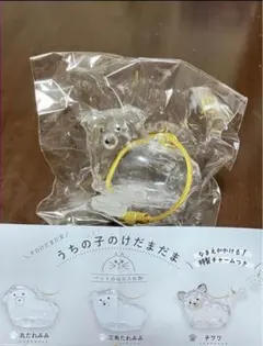 うちの子のけだまだま　犬　三角たれみみ