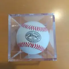 第９５回都市対抗野球大会の硬式球