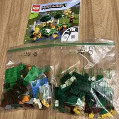 LEGO Minecraft 21165